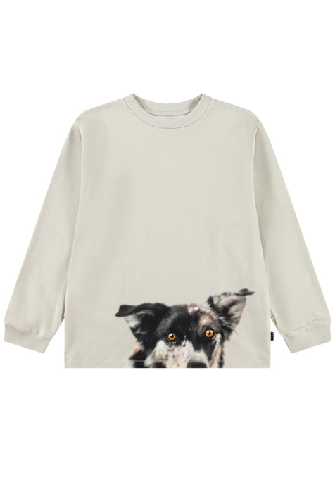 T-SHIRT CAGNOLINO Rube