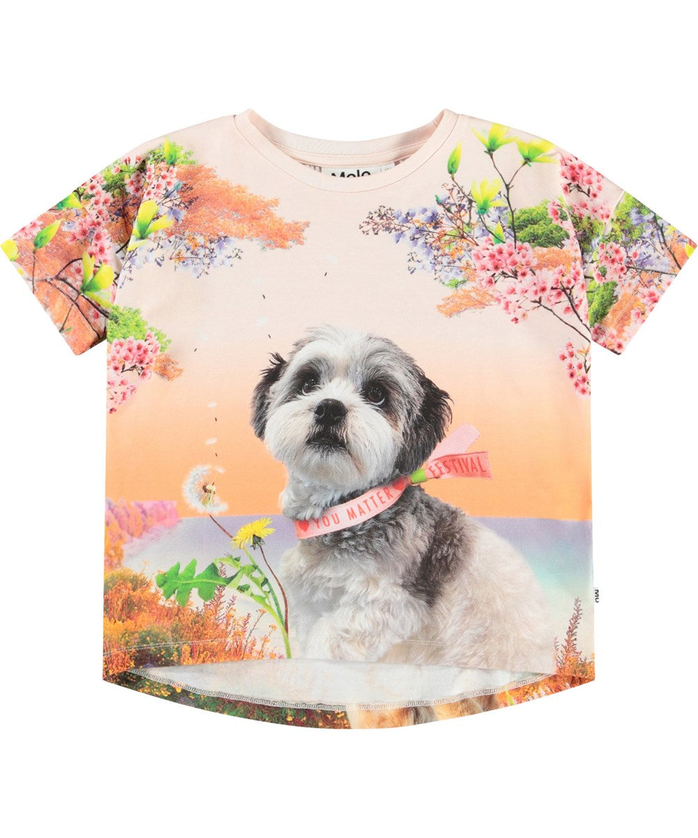T-SHIRT CAGNOLINO MOLO