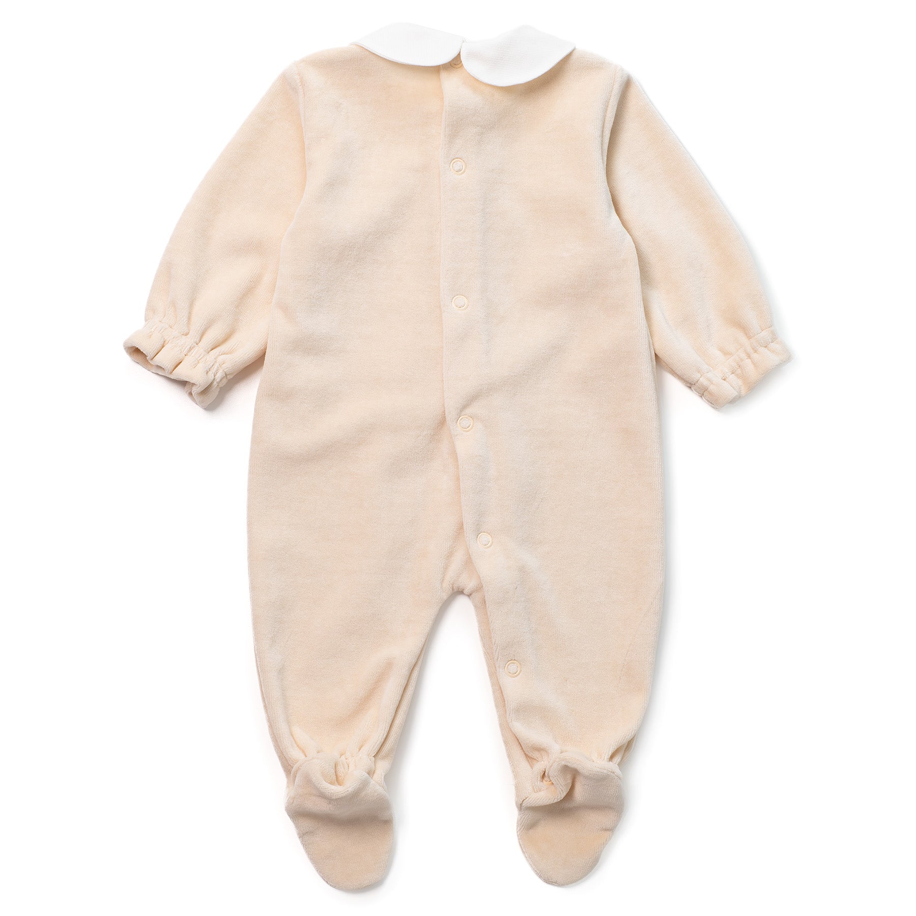 TUTINA CINIGLIA STELLE ALPINE