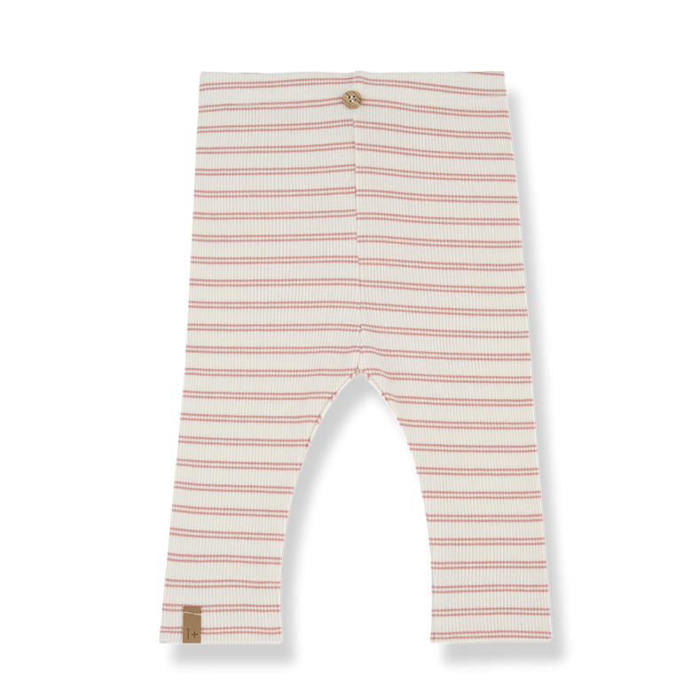 LEGGINS CORALLO