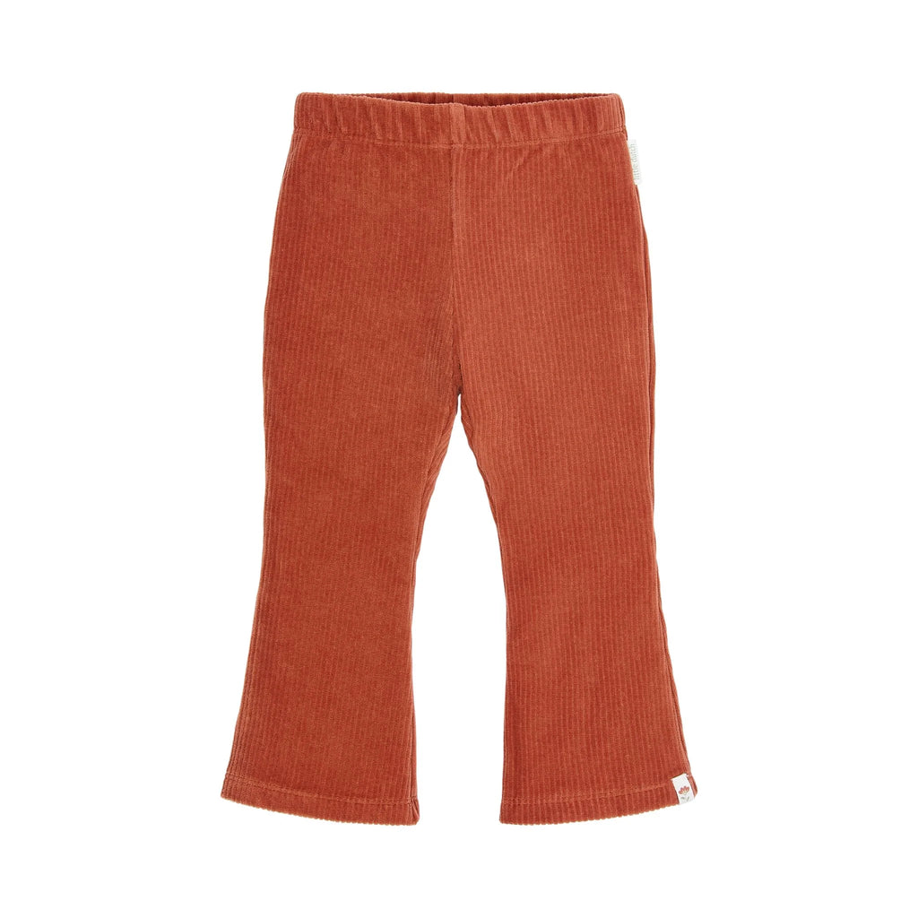 PANTALONE VELLUTINO ZAMPA